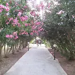 Pyli Bay Marmari (Kos)