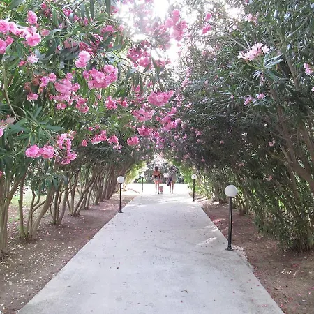 Pyli Bay مارماري