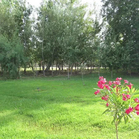 فندق Pyli Bay مارماري